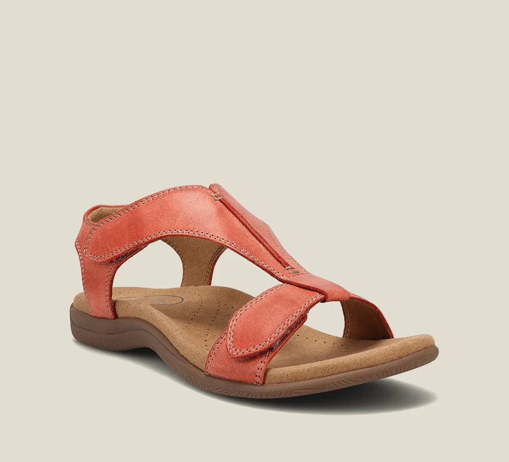 Oranžová